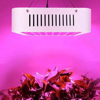 

JELIT LED Grow Light with Red & Warm White Spectrum Grow Lamp for Hydroponic