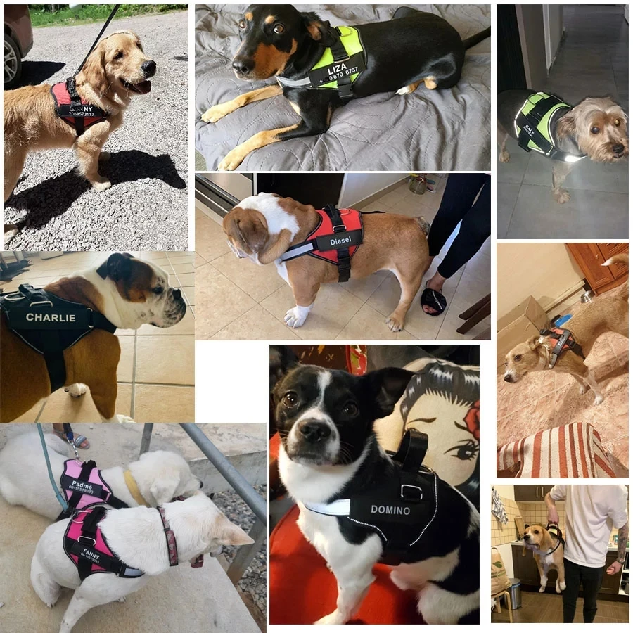 Dog-Harness-Vest-ID-Patch-Customized-Reflective-Breathable-Adjustable-Pet-Harness-For-Dog-NO-PULL-Pet.jpg_.webp_Q90.jpg_.webp_.webp (1)
