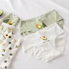 High Quality Avocado Briefs 4Pcs/Lot Girl Panties Green underwear Cotton Lingerie Comfortable Panty ► Photo 2/6