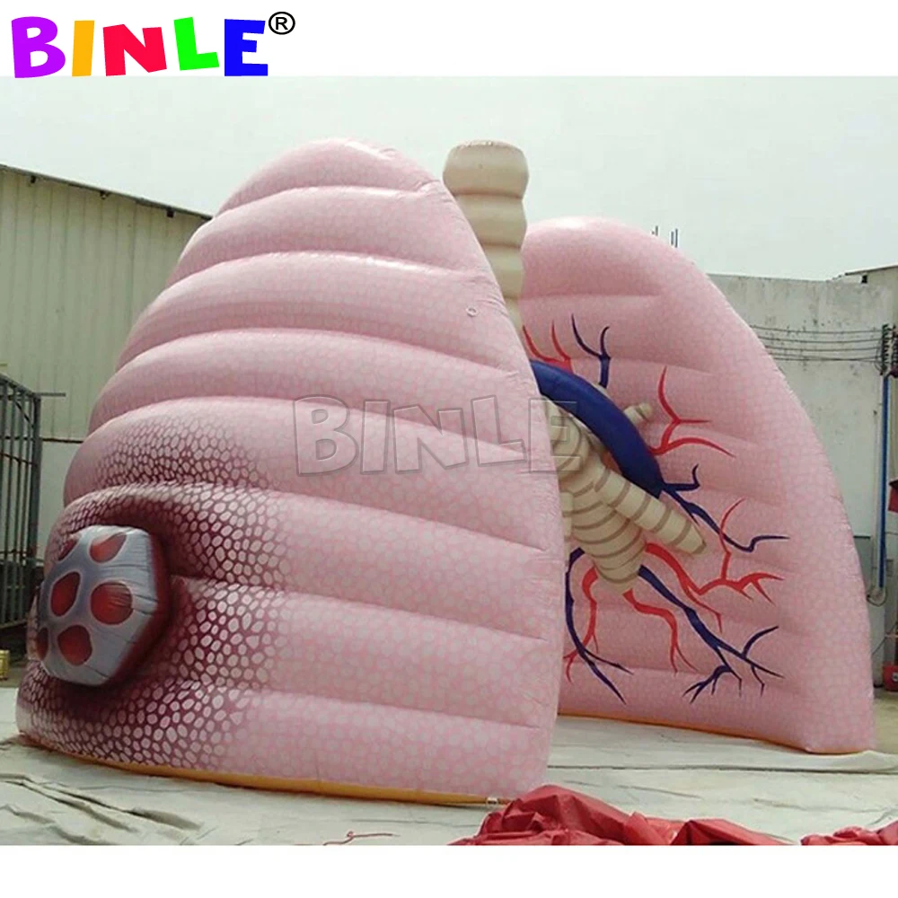 맞춤형 대형 풍선 폐 모형, 학교 교육 및 의료 행사 전시용 풍선 인체 장기 모형
