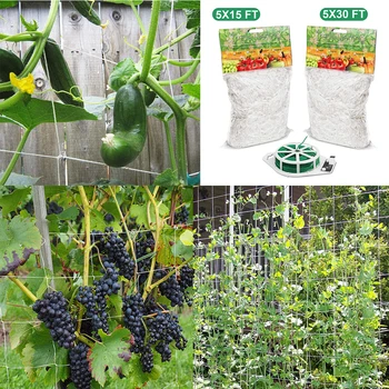 

Garden Plants Climbing Net Morning Glory Flower Vine Netting Support Net Grow Net Holder Garden Netting