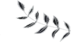 h2+Xif2nxdR3mZ01XMthQBiZswQkFBlain/o