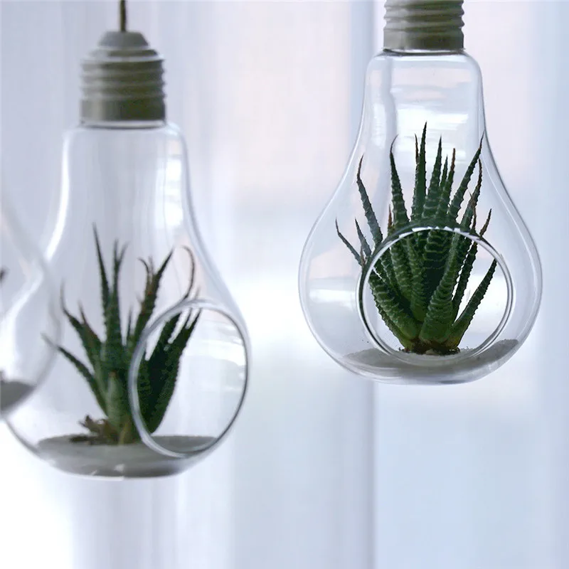 Hanging Glass Ball Vase Flower Plant Pot Terrarium Container Party