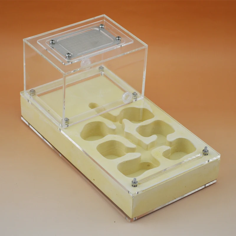 

Yellow Plaster Plane Ant Nest Acrylic Combination Anthill Ant Ant Villa Insect Terrarium