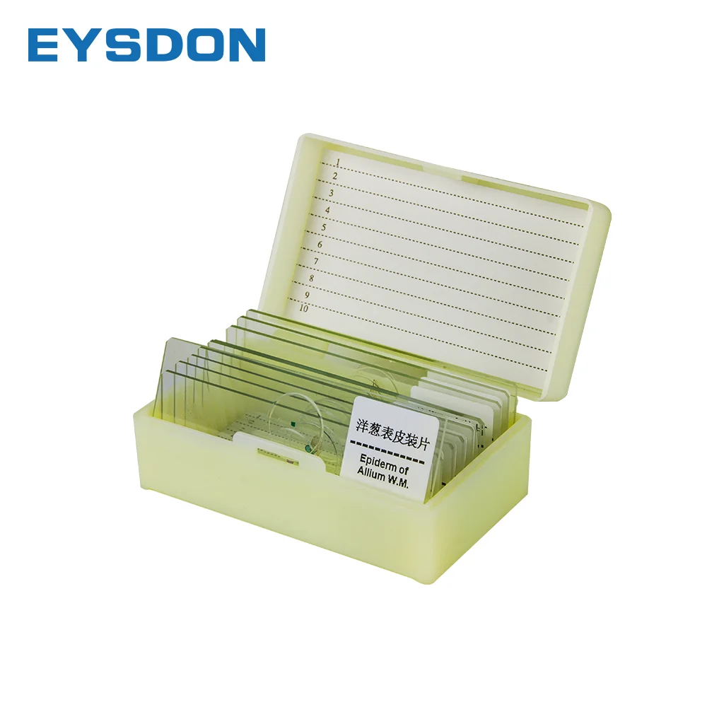 10PCS Professional Glass Slice Prepared Microscope Slides Educational Specimen Animals and Plants Tissue Sections,microscope glass slides