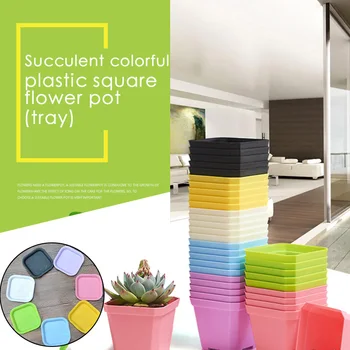 

10Pcs Colorful Plastic Flower Pots Square Flower Pot Creative Home Plant Pots Lazy Flower Supplies