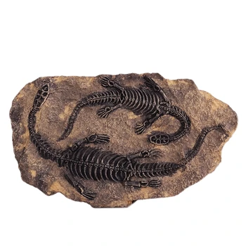 

Tyrannosaurus Rex Dinosaur Fossil Jurassic Cretaceous 130 Million Year Old Craft