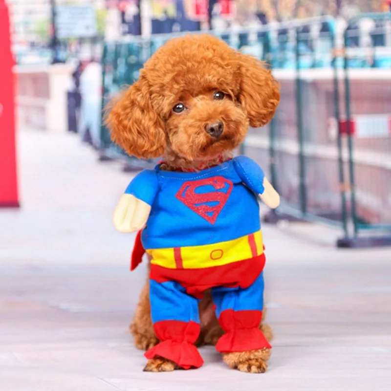 Одежда для собак с суперменом, свитера с Суперменом, плащи на Хэллоуин, одежда для собак, стоящая Рождественская одежда
