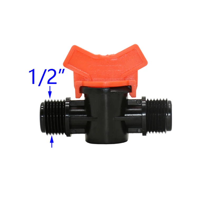 DSC_8172 - 副本 (2)