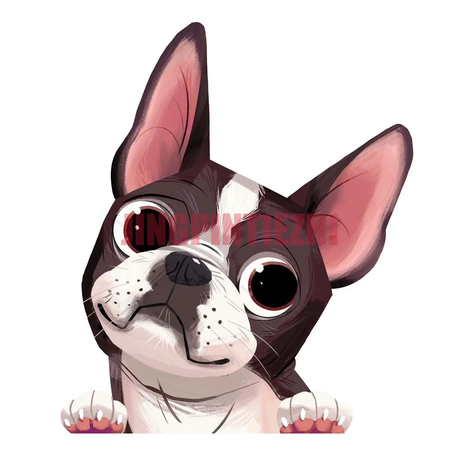 

Creative Car Sticker Decal Boston Terrier Car Sticker on Motorcycle Laptop Decorative Accessories Car Decal Decoration Laptop