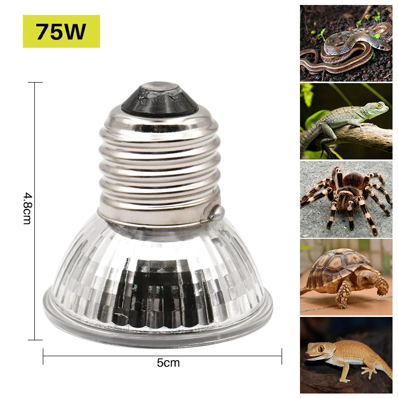 50W 220-240V
