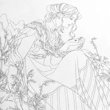 Английский взрослый тайна сад сокровище Охота раскраска книга