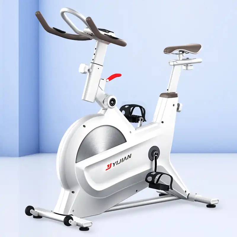 electric exercise bicycle