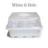 White-6 holes