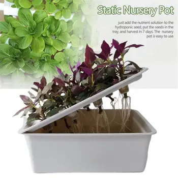 

Botanical Garden Hydroponic System Kit 6-hole Nursery Pot Soilless Cultivation Box Plant Seedling Growth Box Kit