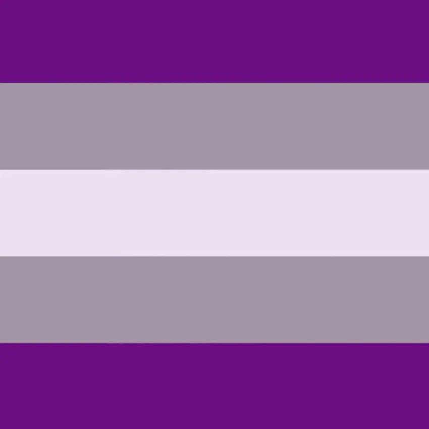 

Graysexual Pride Flag High Quality 150x90 cm 100D Polyester Custom Flags and Banners, Free Shipping