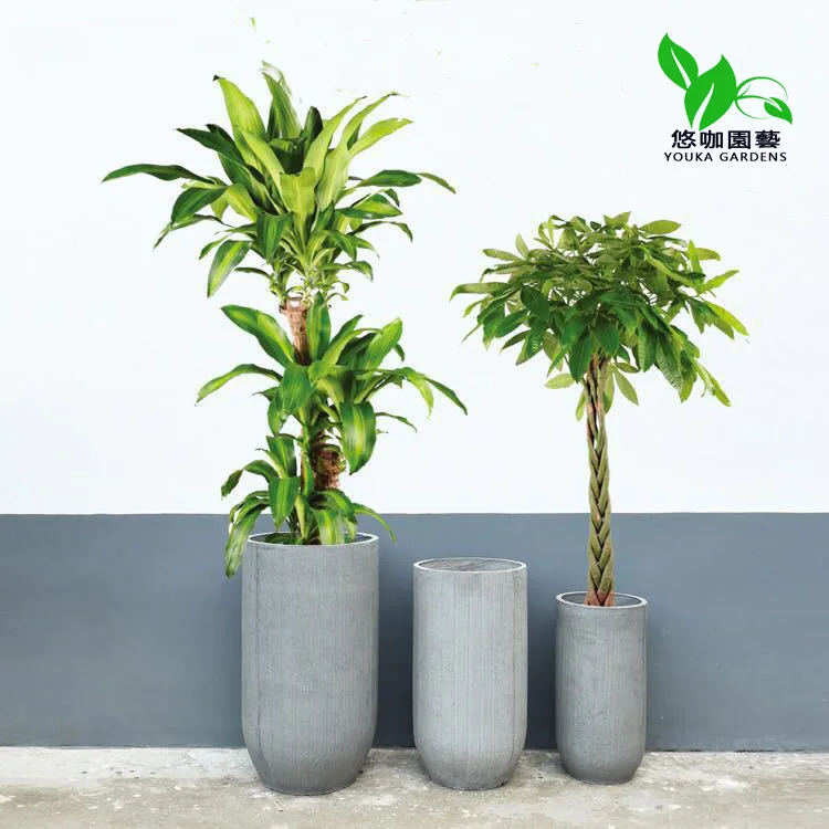 

Youka-Leisurely Coffee Creative Cement Flowerpot Circle Stripes Simple Northern European-Style Art Handmade Magnesium Clay Flowe