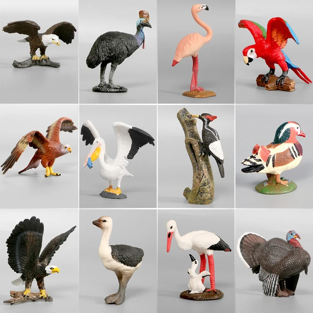 Simulation Animal Models Birds Figurine Parrots Owls Otriches Turkey PVC Plastic Models,Hand Painted Collection Toys For Kids 1