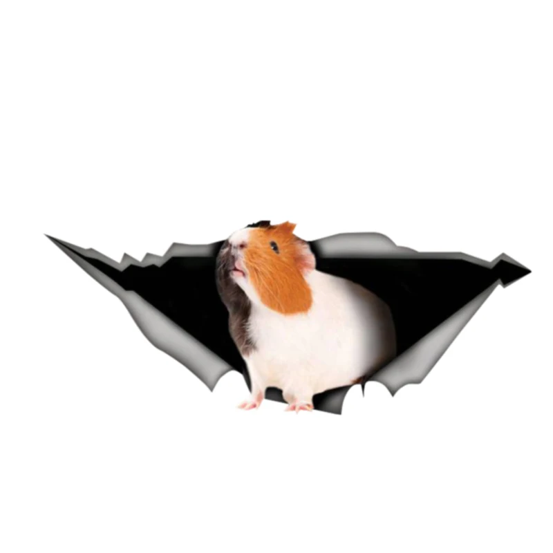 

Personality Guinea Pig 3D Pet Car Sticke Glass Slag Vinyl Waterproof Car Window High Quality Accessories Cover PVC 13cm X 5cm