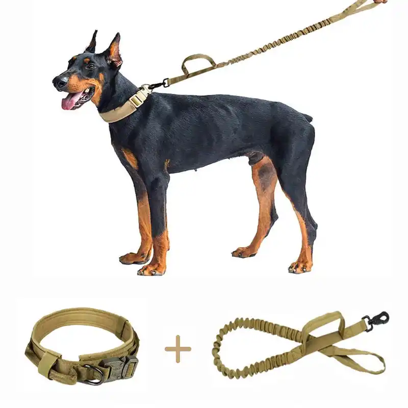 quick release dog leash