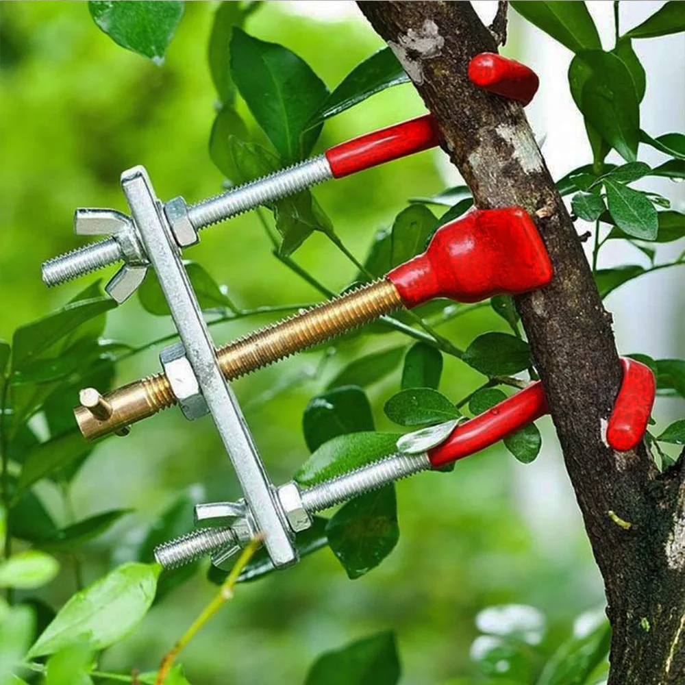 Из алюминиевого сплава Сталь двор уход садоводческий бонсай комплект Treen филиал багажник гибочное устройство крепления