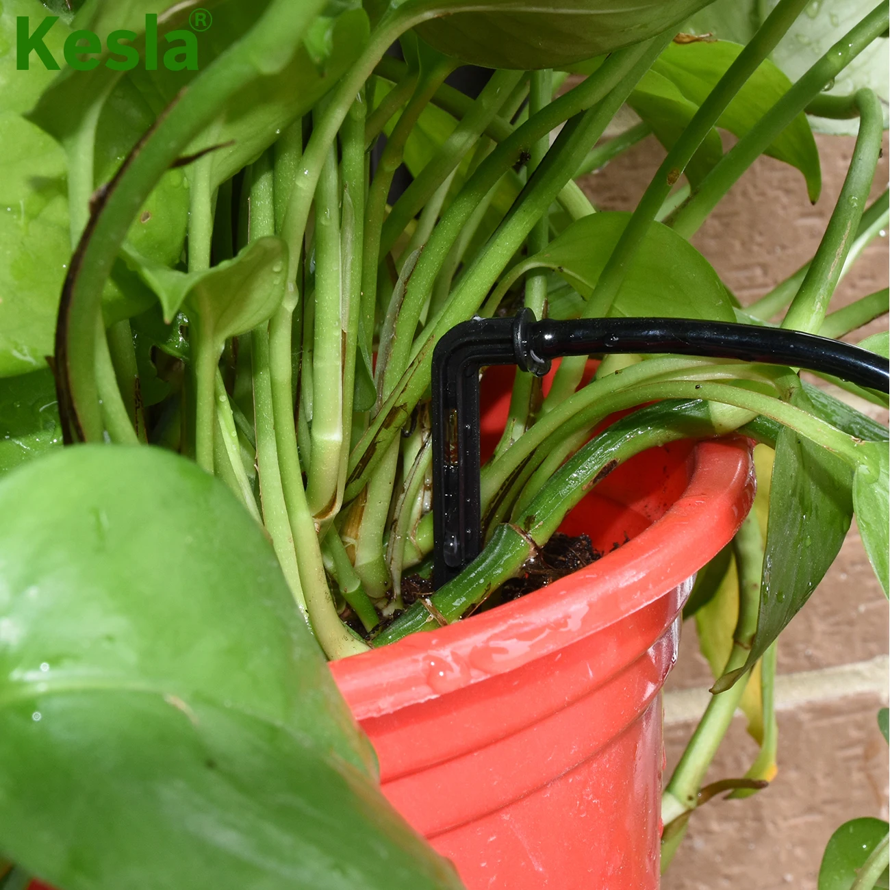 Garden Hose 3/5mm Watering Irrigation Pipe 1/8'' Tubing For Greenhouse Bonsai Potted Plants Drip Arrow Dripper Sprinkler