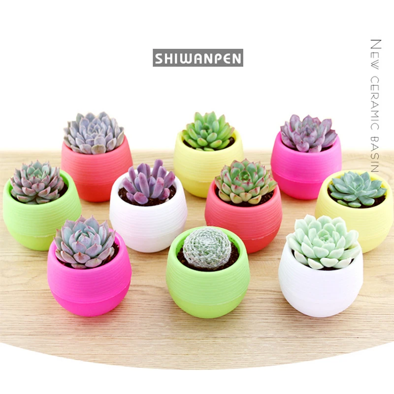 

Mini Colourful Round Plastic Plant Flower Pot Garden Home Office Decor Planter Desktop Flower Pots