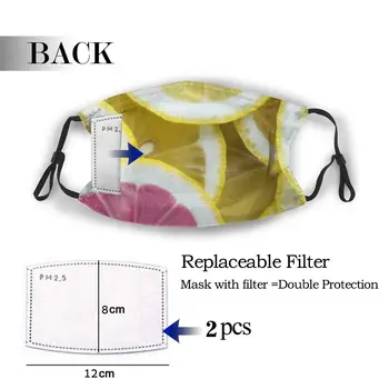 

protective mask with filter Lemon anti dust PM2.5 reuse adult teen child girl