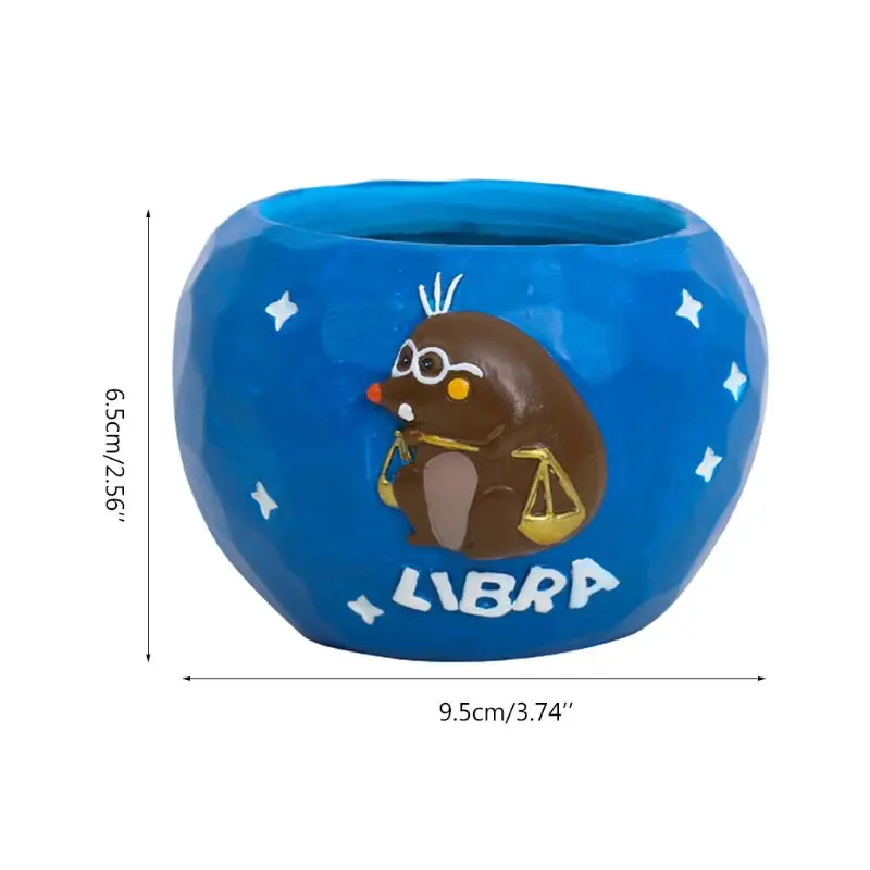 Суккулент смолы горшечные растения 72XF