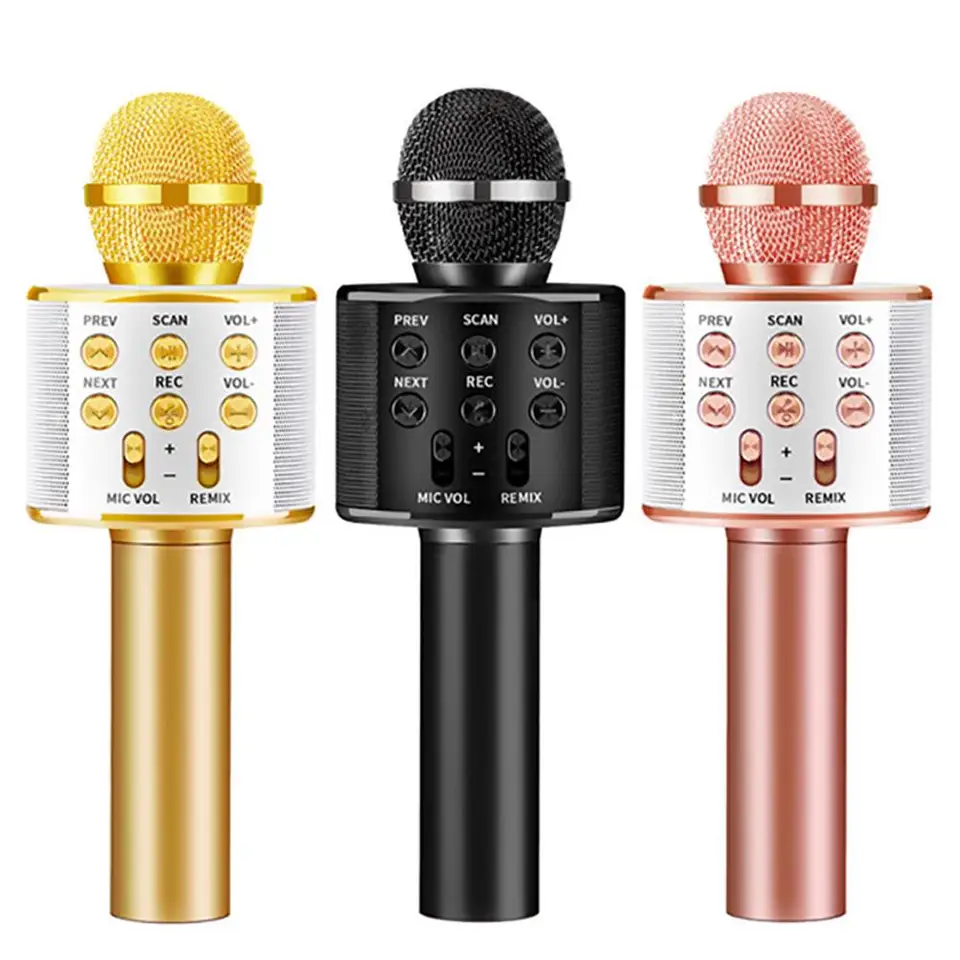 toy microphone with speaker