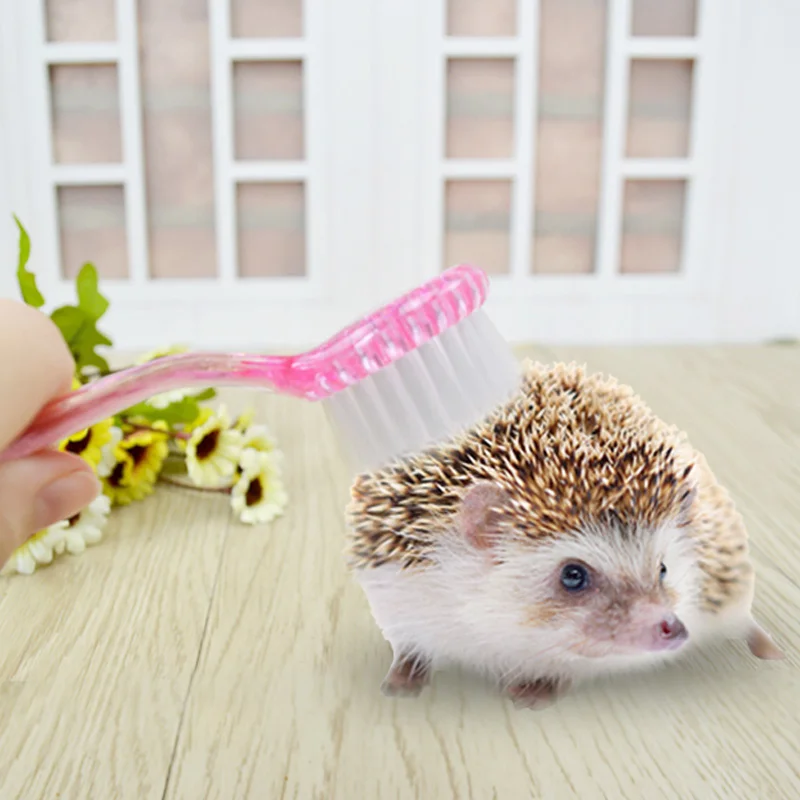 TB2sIvTc6uhSKJjSspdXXc11XXa_!!85416369