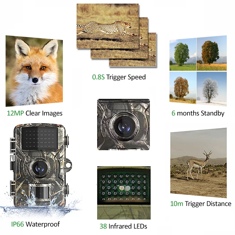 12MP 1080P Wildlife Hunting Camera Motion Activated Security Camera IP66 Waterproof Infrared Night Vision Hunting Trail