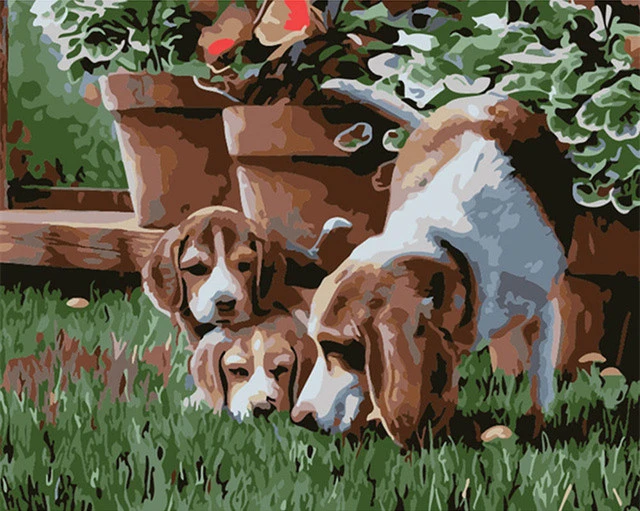 SZHC1-2967 HUACAN Picture By Numbers Kits Dog Animal Drawing Canvas HandPainted Painting DIY Art Home Decoration Gift - Цвет: SZHC1-2967