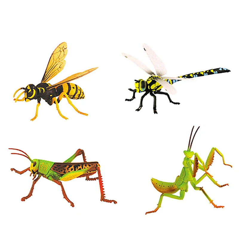 Rompecabezas de insectos 4 para niños, educativos de 24 tipos de insectos _ - AliExpress Mobile