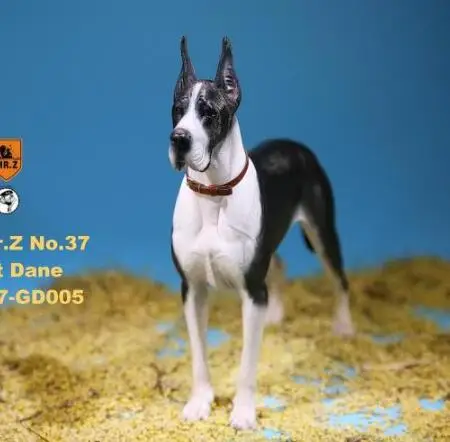 1/6 масштаб Коллекционная модель собаки любимчика Mr. Z MRZ037 немецкий Great Dane(все 6 цветов) для 12 дюймов фигурка - Цвет: 005