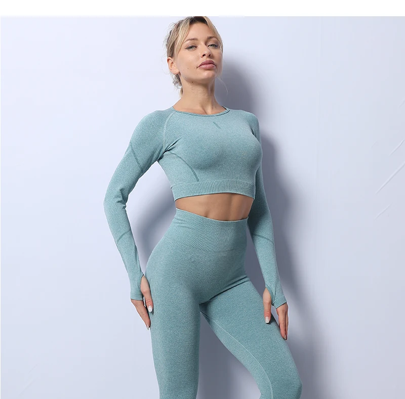 2PCS Seamless Yoga Set Women Tracksuit High Waist Leggings Workout Sportswear Gym Clothing Fitness Crop Top Sports Suits Gym Set