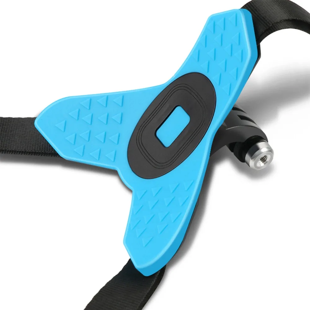 309630_no-logo_309630-3-04-c