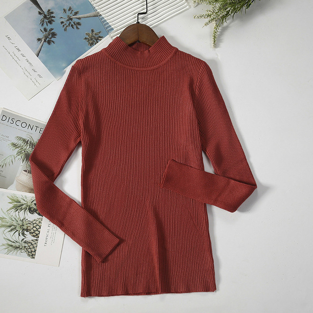 Autumn Winter Basic Turtleneck Sweaters Women Knitting Bottoming Sweaters Warm Pullovers Slim Long Sleeve Tops Female