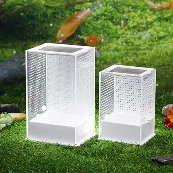 

Transparent Acrylic Reptile Feeding Box Insect Box Mantis Breeding Box Insect Reptile Cage Terrarium Feeding Box