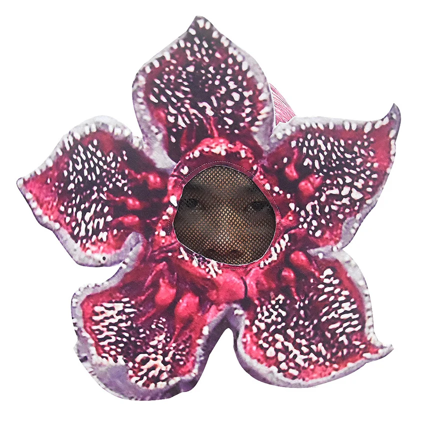 11556561683_1575112088