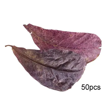 

50PCS Olive Leaves Water Quality Improvement PH Value Reduce Leaf for Fish Tank