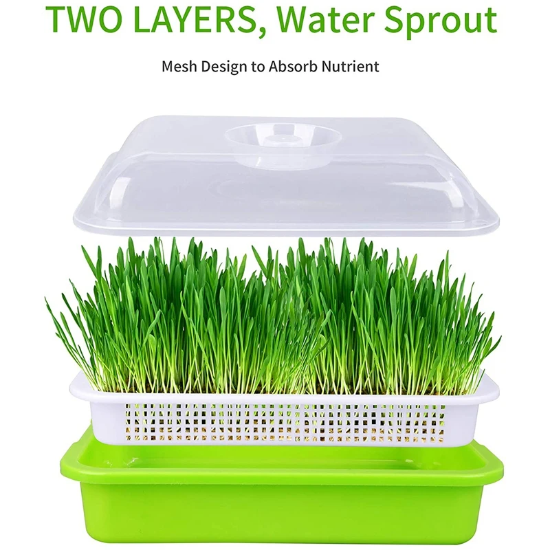4 Pack Garden Sprout Tray With Cover Soilfree Seeds Grower And Storage