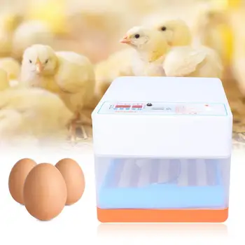 

Drinking Bowl Digital Fully Automatic Clear Egg Turning Incubator Hatcher Temperature Control Drinking Bowls for Egg Duck Egg