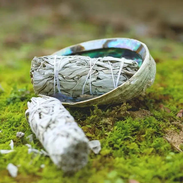 40 G Fehér Zsálya -Köteg Foltos Bot Tisztítás Otthoni Légfrissítő Spirituális Füstölő Égés A Meditáció Gyógyulására Air Frissítő - Image 4