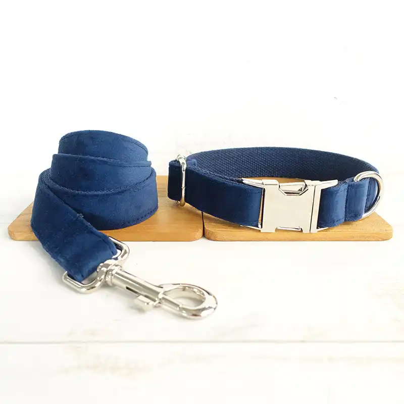 blue velvet dog collar