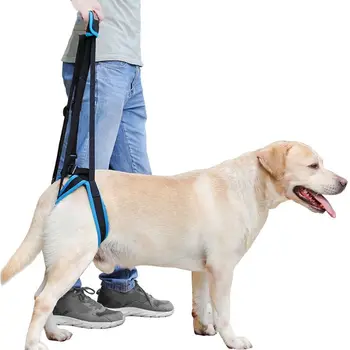 

Dog Lift Harness Steady Sling Helps Dogs with Limited Mobility Weak Front Rear Legs Stand Up Best Alternative to Dog Wheelchair
