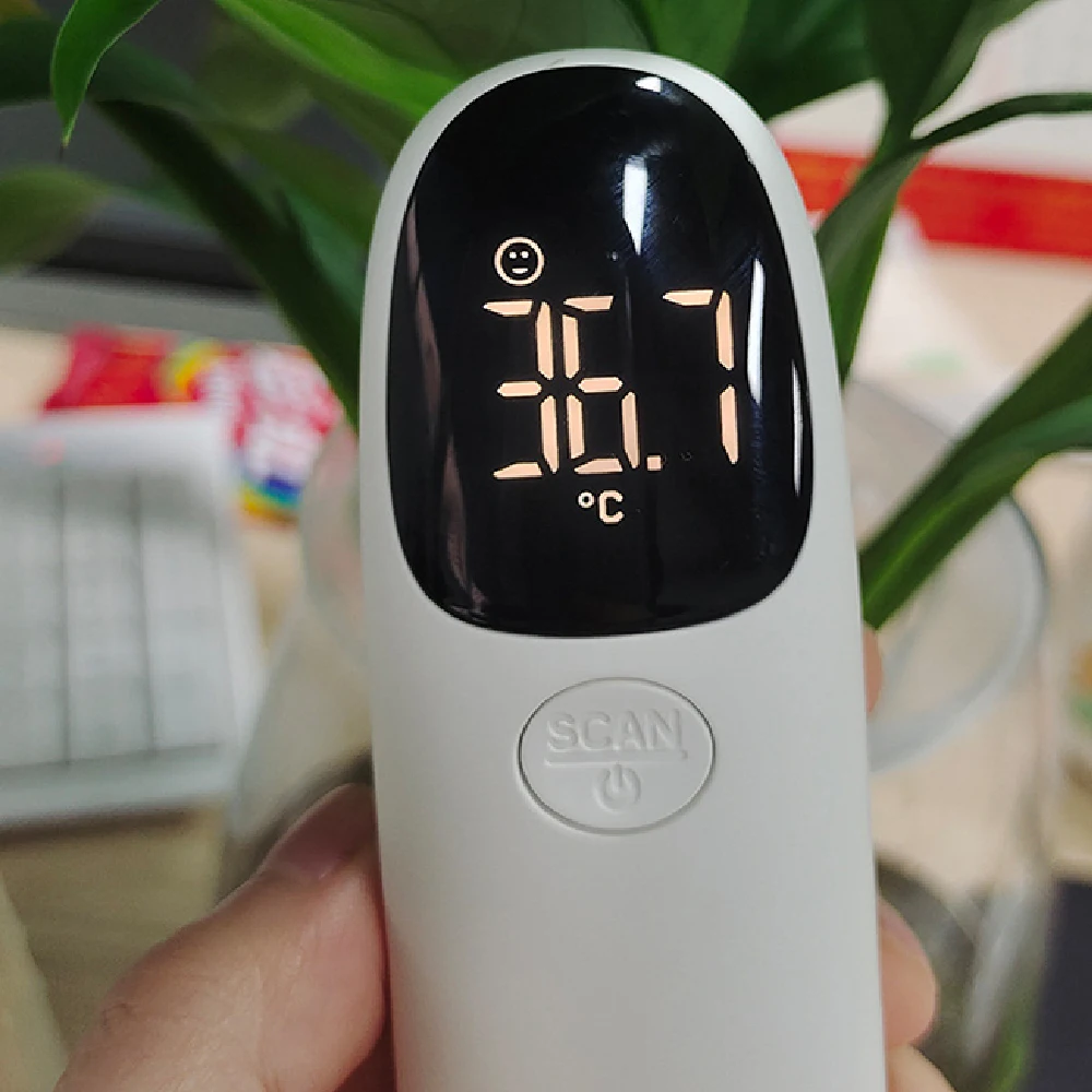 17519672733_29724288