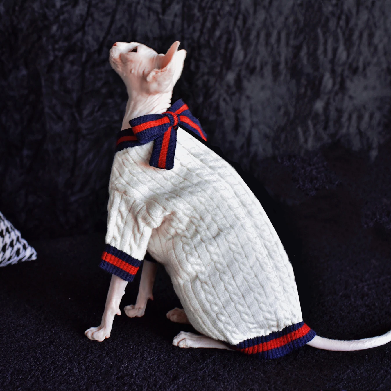 Noble Fashion style Autumn Winter Sphynx Cat Clothes Hairless Cat