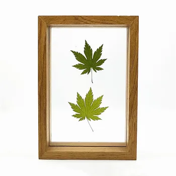 

24pcs,Natural Pressed Maple leaves Real Dried Flower for DIY Art Craft Bookmark Valentines Gift Decoration DIY plant specimens