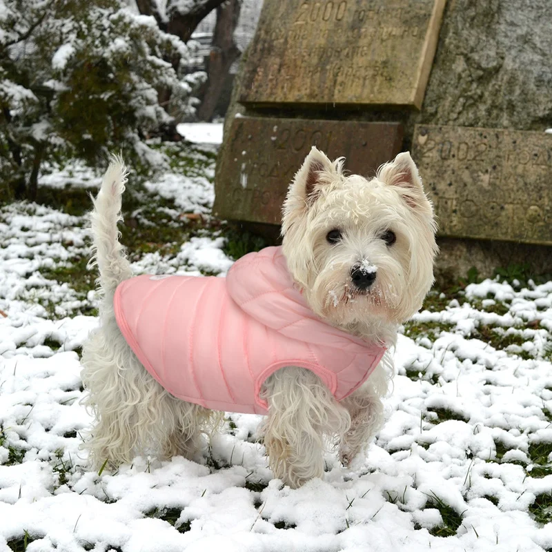 

Hot Selling Dog Down Windproof Clothes for Small Dog Comfortable Puppy Coat Warm Pet Jacket Chihuahua Winter Pet Products